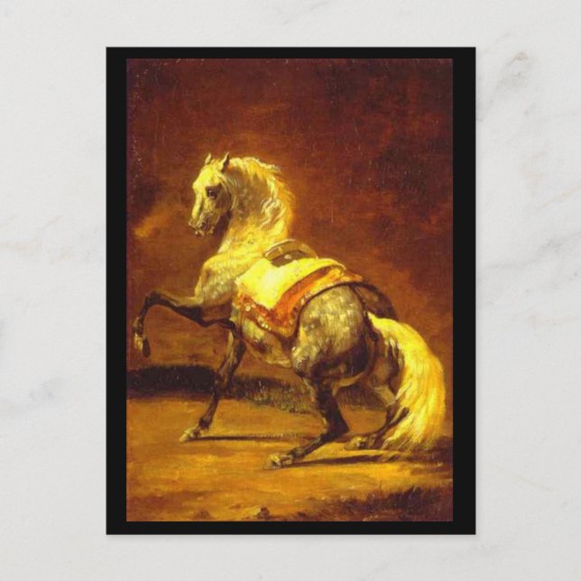 DAPPLED GREY HORSE POSTCARD (Front)