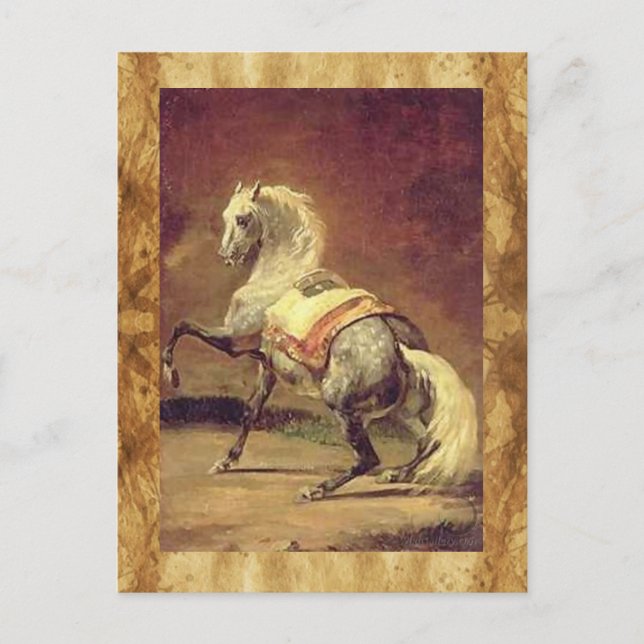 DAPPLED GREY HORSE POSTCARD (Front)