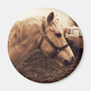 Dappled Horse and Bus Magnet