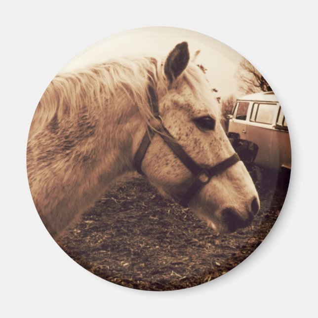 Dappled Horse and Bus Magnet (Front)