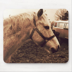 Dappled Horse and Bus Mouse Pad
