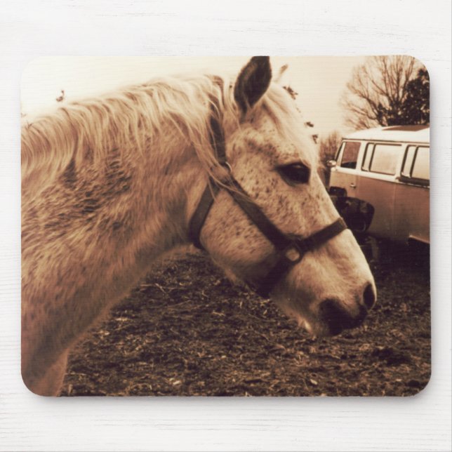 Dappled Horse and Bus Mouse Pad (Front)