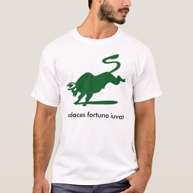 Darden MBA exec  2010 team 5 T-Shirt (Front)