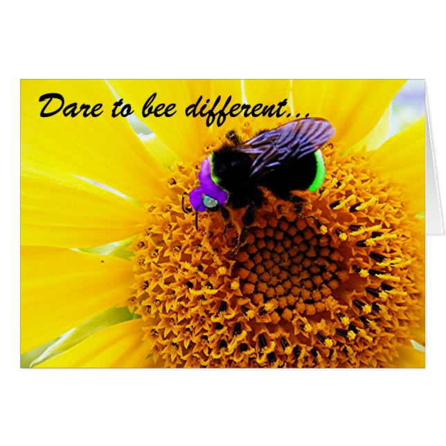 Dare (Front Horizontal)