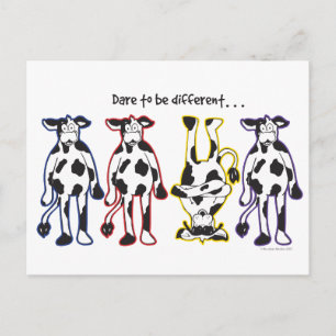 Dare to be Different Cows Postcard