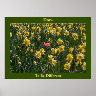 Dare To Be Different Daffodils Poster