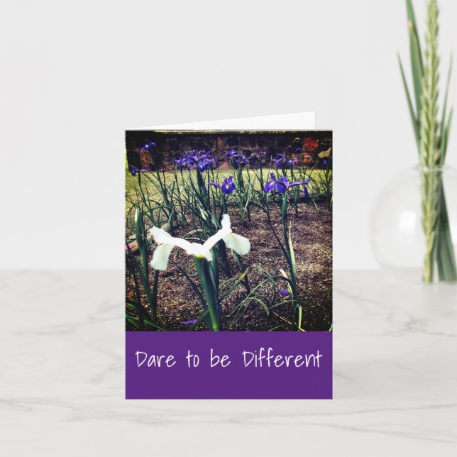 Dare to be Different Iris Greeting Card (Front)