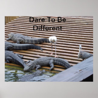 Dare To Be Different Poster