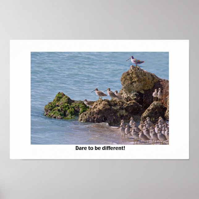 Dare to Be Different Poster or Print (Front)