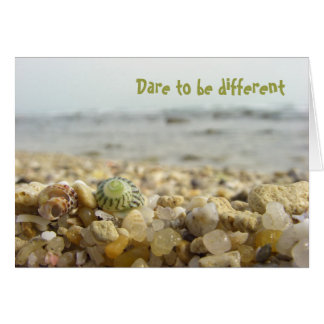 Dare to be different Shell & Pebbles at the beach