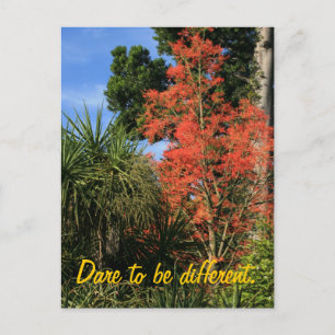 Dare to be Different - Show off your true colours Postcard