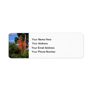 Dare to be Different - Show off your true colours Return Address Label