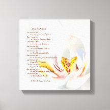 "Dare to be Rich" Orchid