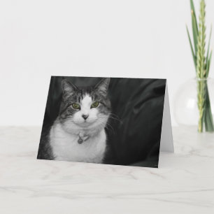 Dare to Look Into My Green Eyes Card