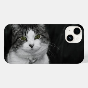Dare to Look Into My Green Eyes iPhone Case