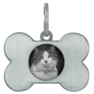 Dare to Look Into My Green Eyes Pet Tag