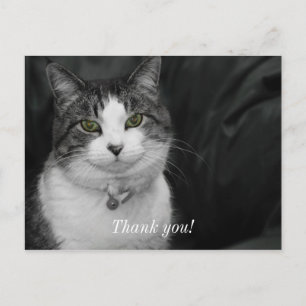Dare to Look Into My Green Eyes Thank You Postcard