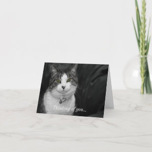 Dare to Look Into My Green Eyes Thinking Of You Card