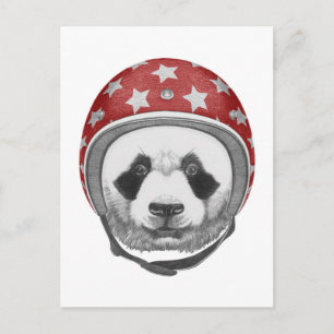 Daredevil Panda Postcard