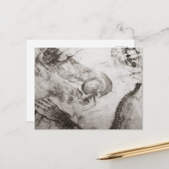 Dark Academia anatomy Postcard (Front/Back In Situ)
