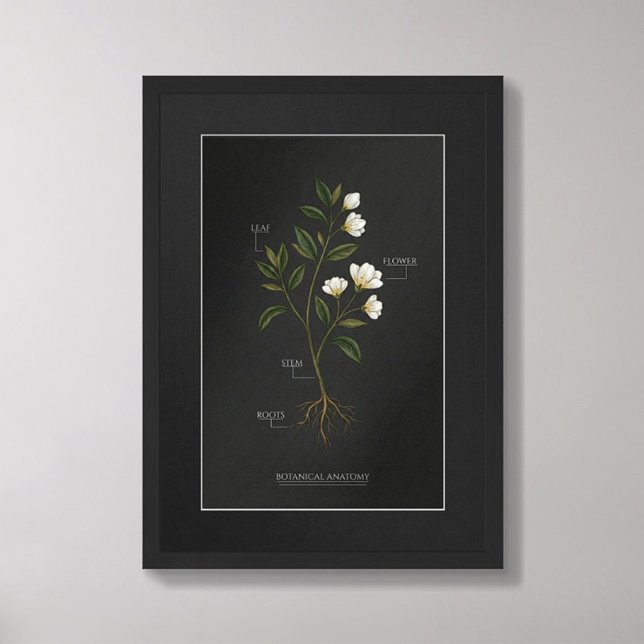 Dark Academia Botanical Anatomy Poster (Creator Uploaded)
