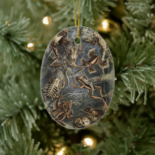 Dark Academia Haeckel Vintage Frog Nature Print Ceramic Ornament