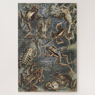 Dark Academia Haeckel Vintage Frog Nature Print Jigsaw Puzzle