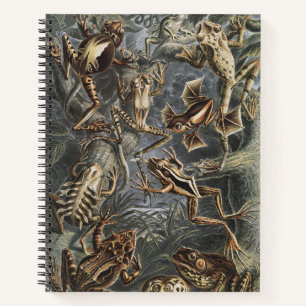 Dark Academia Haeckel Vintage Frog Nature Print Notebook