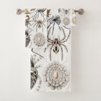 Dark Academia Haeckel Vintage Spider Symmetry Art