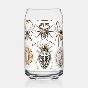 Dark Academia Haeckel Vintage Spider Symmetry Art Can Glass