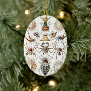 Dark Academia Haeckel Vintage Spider Symmetry Art Ceramic Ornament