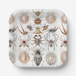 Dark Academia Haeckel Vintage Spider Symmetry Art Paper Plate