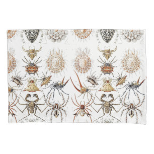 Dark Academia Haeckel Vintage Spider Symmetry Art Pillowcase