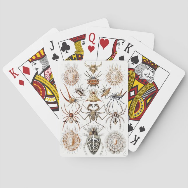 Dark Academia Haeckel Vintage Spider Symmetry Art Playing Cards (Back)