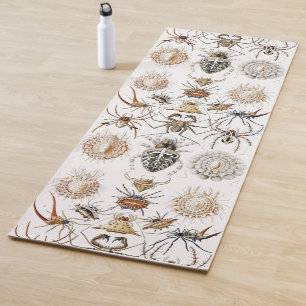 Dark Academia Haeckel Vintage Spider Symmetry Art Yoga Mat