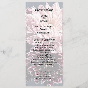 Dark and Light Mums and Daisies Program