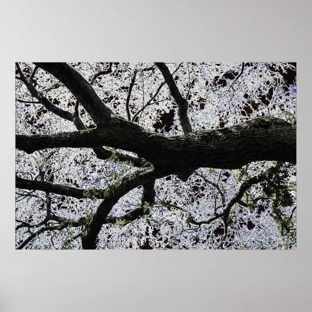 Dark Art Tree Branches poster by J.W. Fatherree. (Front)