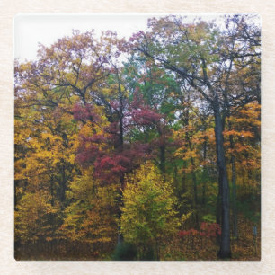 Dark Autumn Colours Glass Coaster