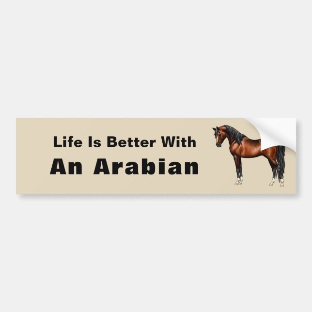 Dark Bay Egyptian Arabian Horse Bumper Sticker (Front)