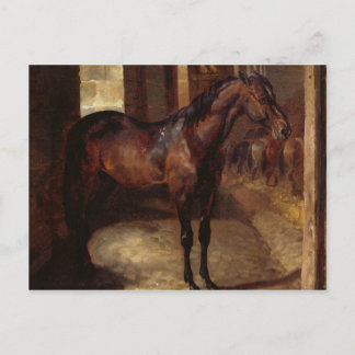 Dark Bay Horse in the stable Postcard