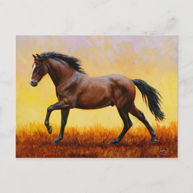 Dark Bay Stallion Horse Galloping Postcard (Front)