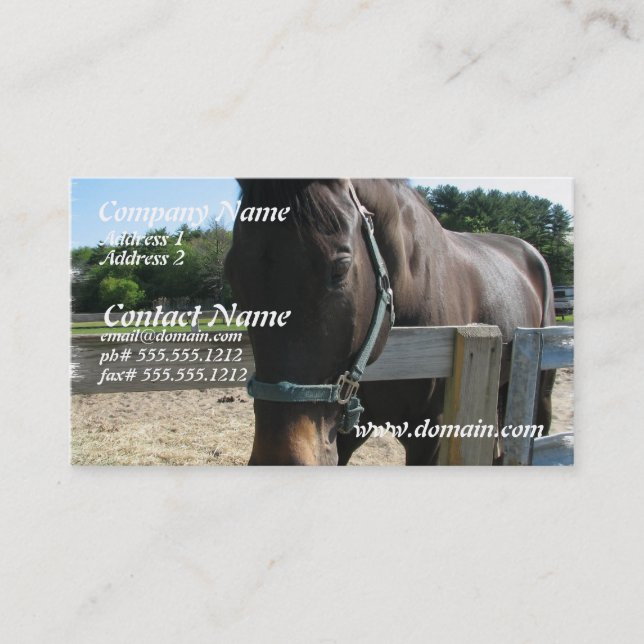 Dark Bay Thoroughbred Horse Business Card (Front)