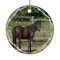 Dark Bay Thoroughbred Horse Ornament