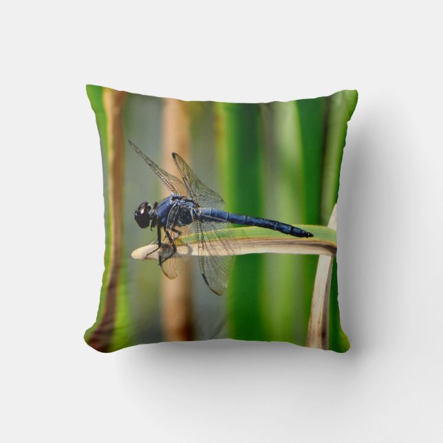 Dark blue dragonfly, green pillow (Front)
