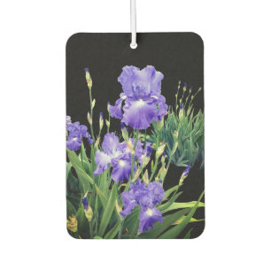 Dark blue iris flowers car air freshener