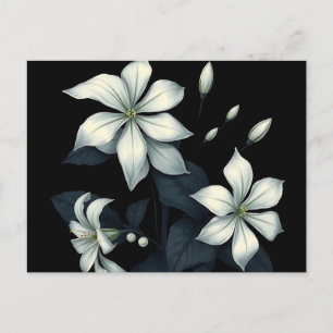 Dark Botanical of Night Blooming Jasmine  Postcard