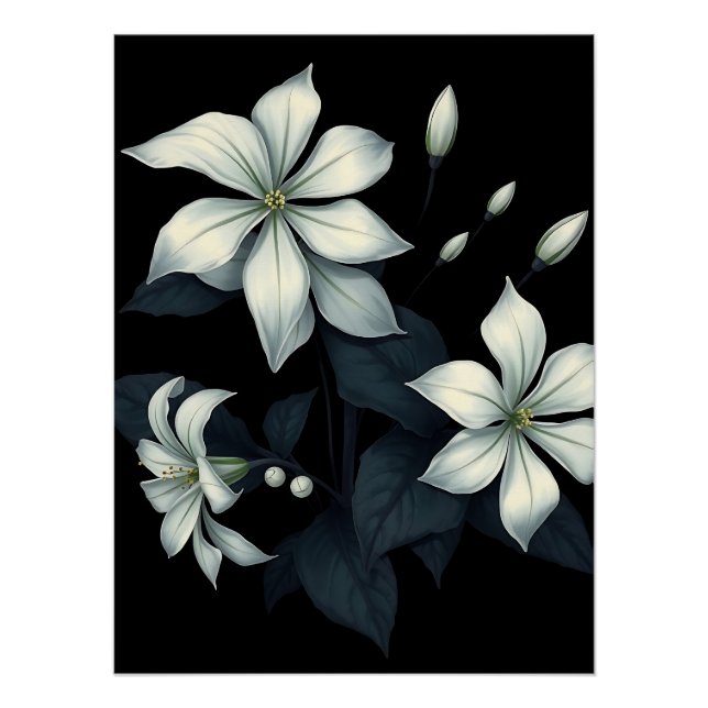 Dark Botanical of Night Blooming Jasmine  Poster (Front)