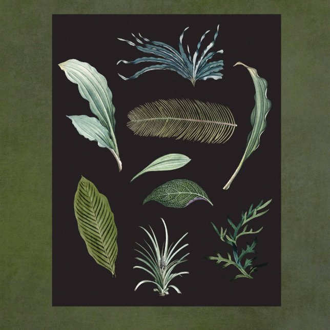 Dark botanical plant leaves on black poster (Creator Uploaded)