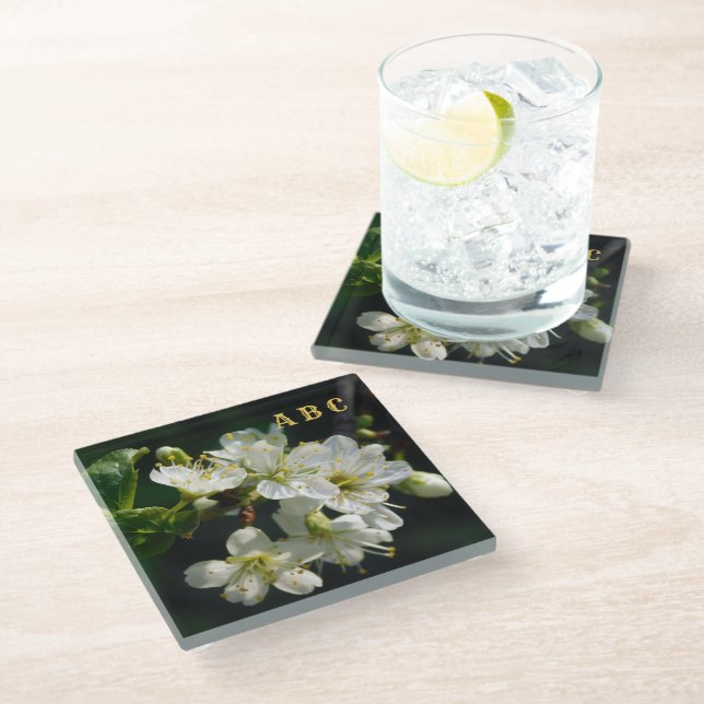 Dark Botanical White Plum Blossom Glass Coaster (Angled)