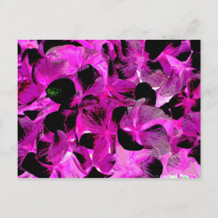 dark bright 2 postcard